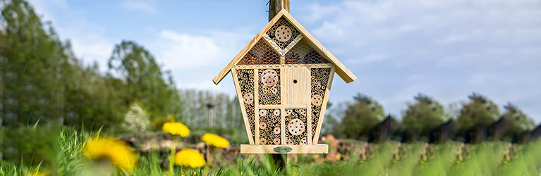 Welche Insekten leben in einem Insektenhotel?