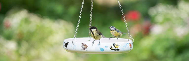 Die perfekte Vogeltränke