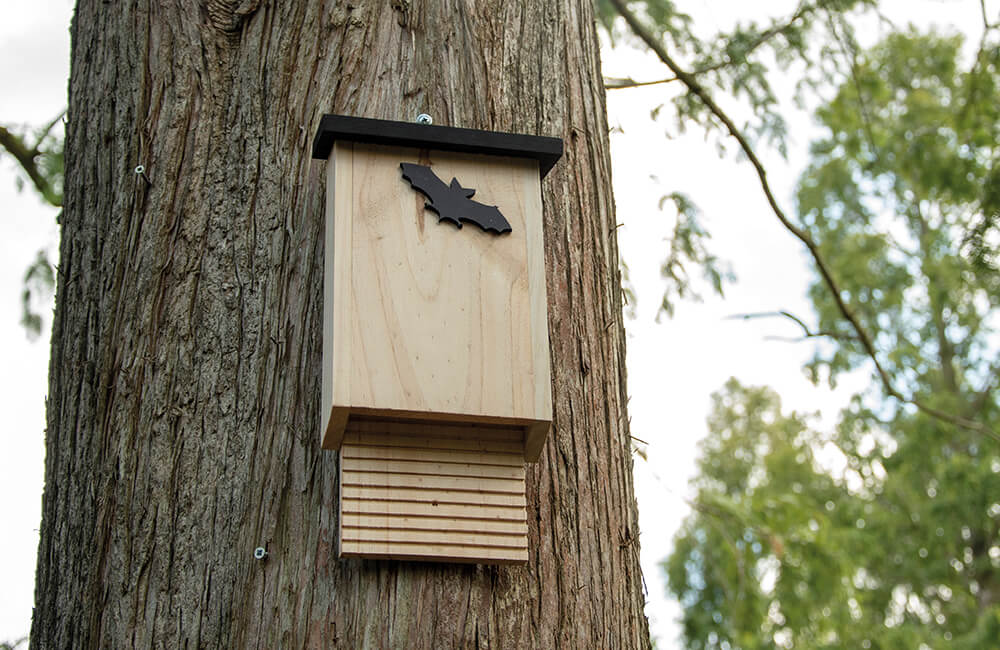 Ein hölzerner Fledermauskasten auf einem Baum