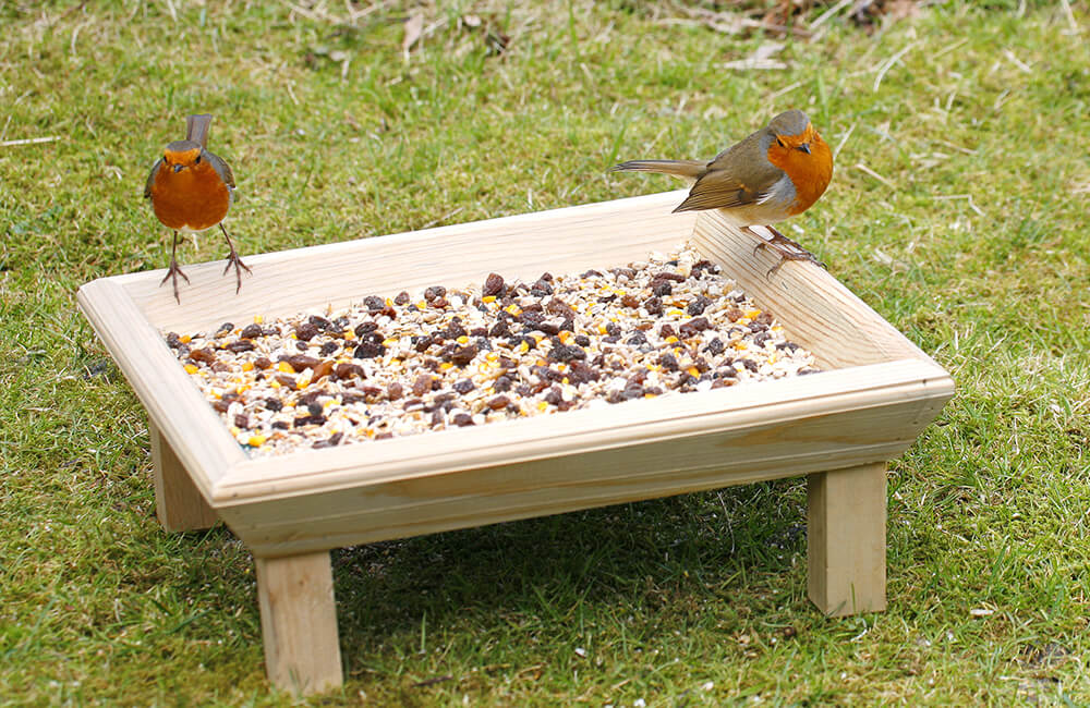 Zwei Rotkehlchen auf einem Vogeltisch mit Samenmischung.