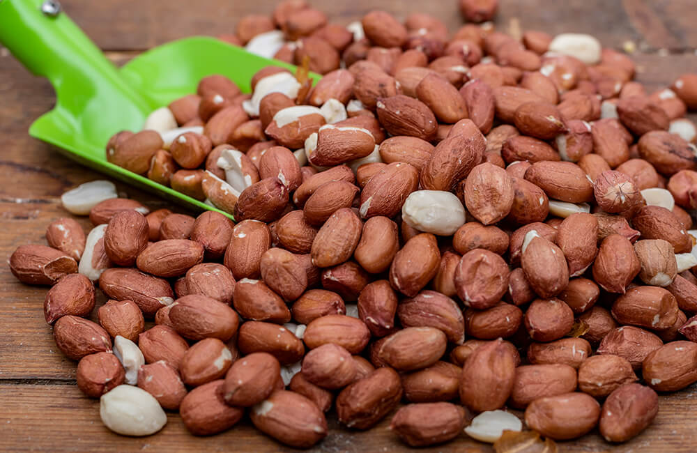 Ganze Erdnüsse für Gartenvögel.