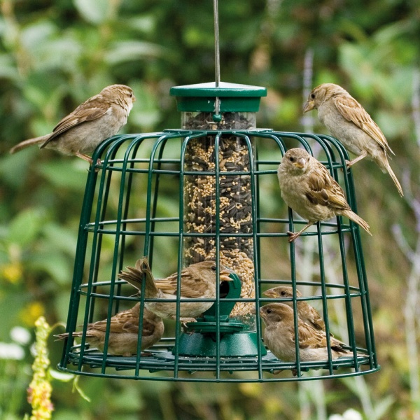 Infographic about different types of nest boxes
