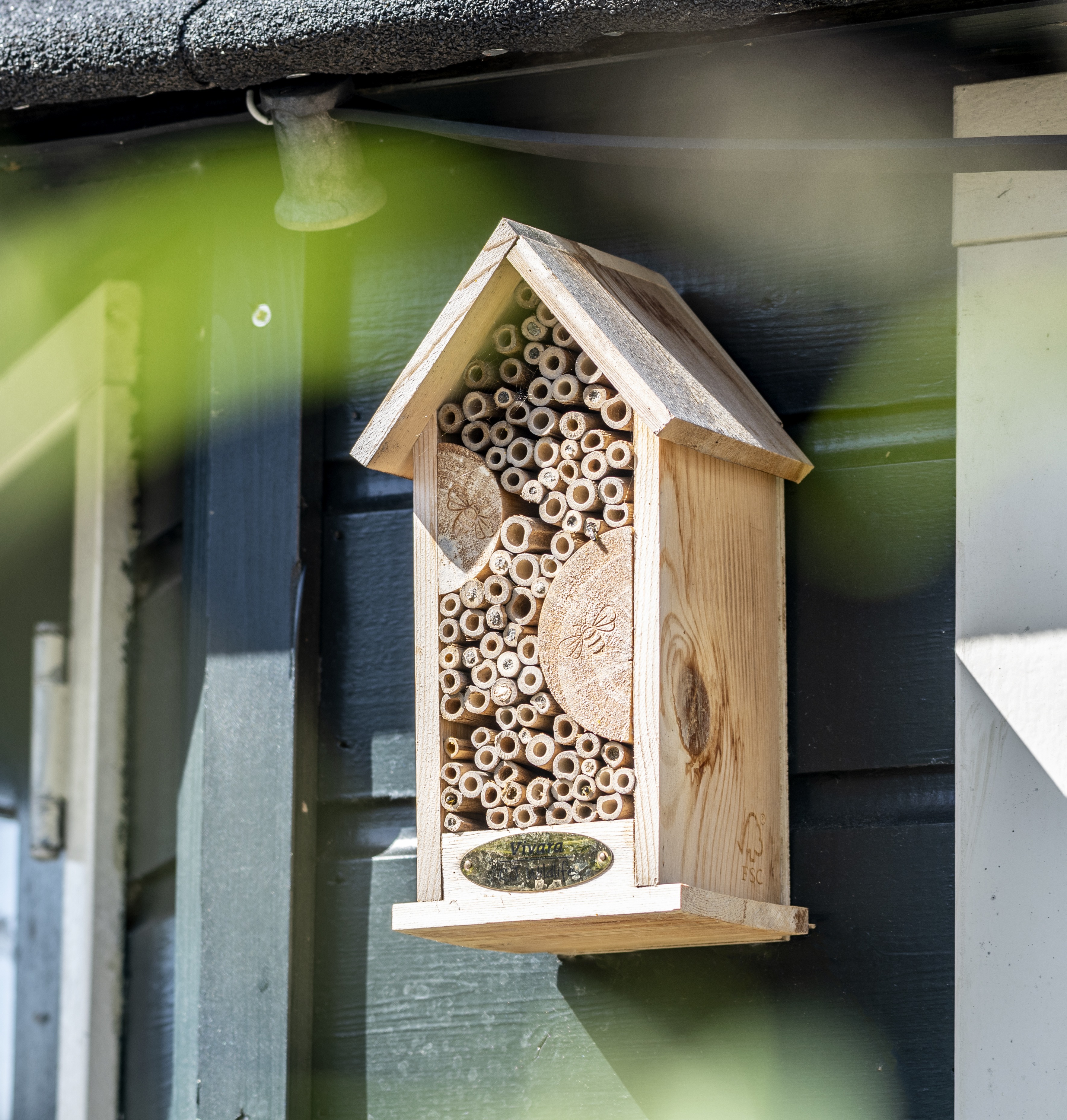 Infographic about different types of nest boxes