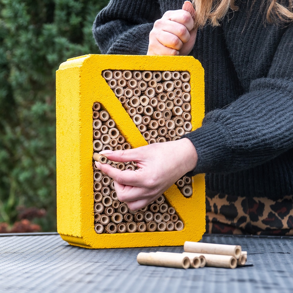 Infographic about different types of nest boxes