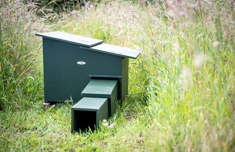 Ein großes Igelhaus auf einer Wiese.