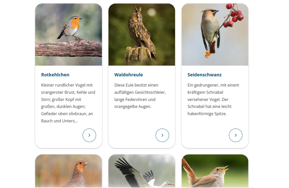 Screenshot vom Vogel-Lexikon auf Vivara – Verschiedene Gartenvogelarten werden vorgestellt