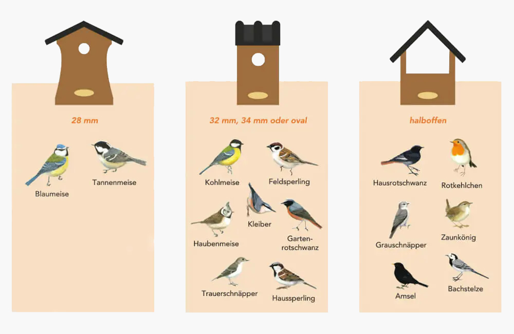 Infografik über die Unterschiede von Vogelhäusern und welcher Vogel welche Einfluggöffnung bevorzugt.