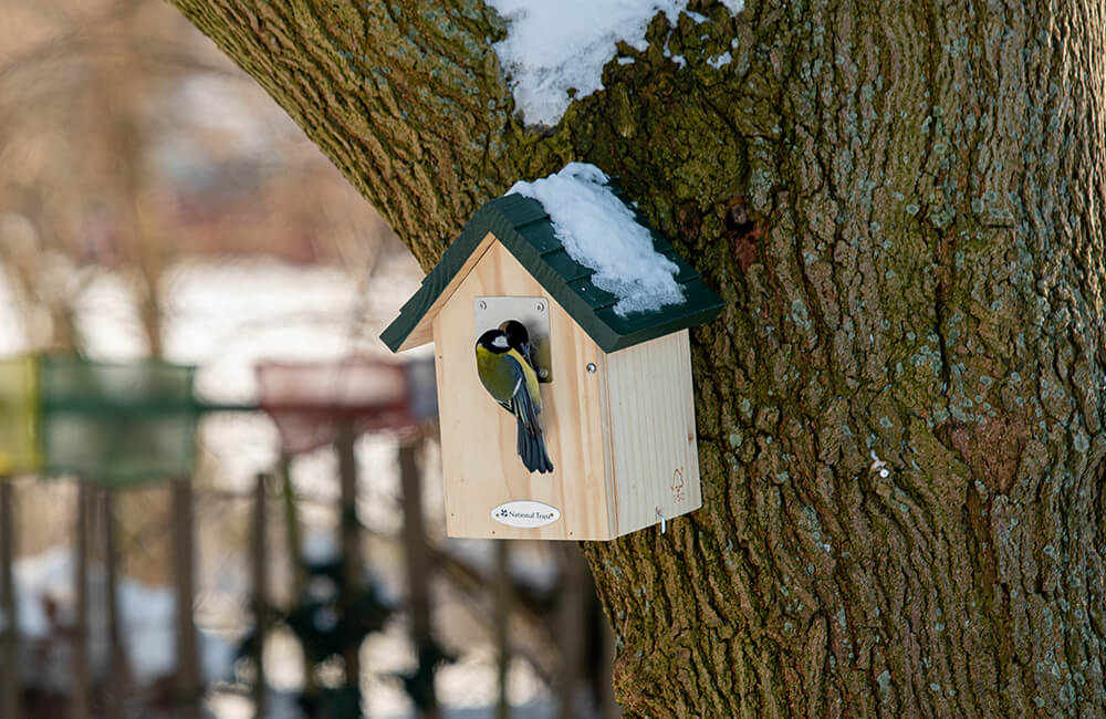 A nest box with snow on the roof