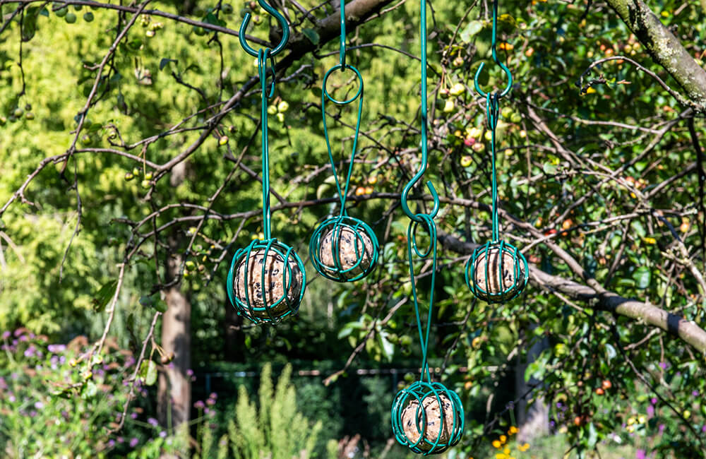 4 Stück unseres Meisenknödel-Halters Lima an einem Baum aufgehängt.