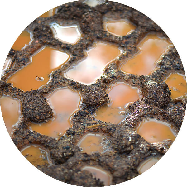 Eine Schlammpfütze.