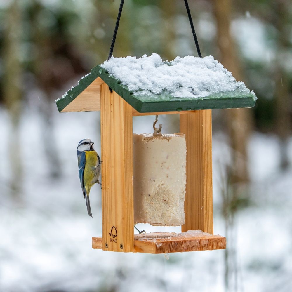 Child smiles while presenting the assembled nest box building kit
