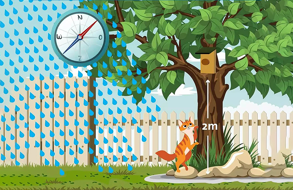 Infografik darüber, wie hoch ein Vogelkasten angebracht werden sollte