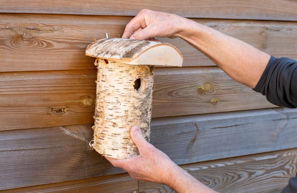 Ein Nistkasten aus Birke